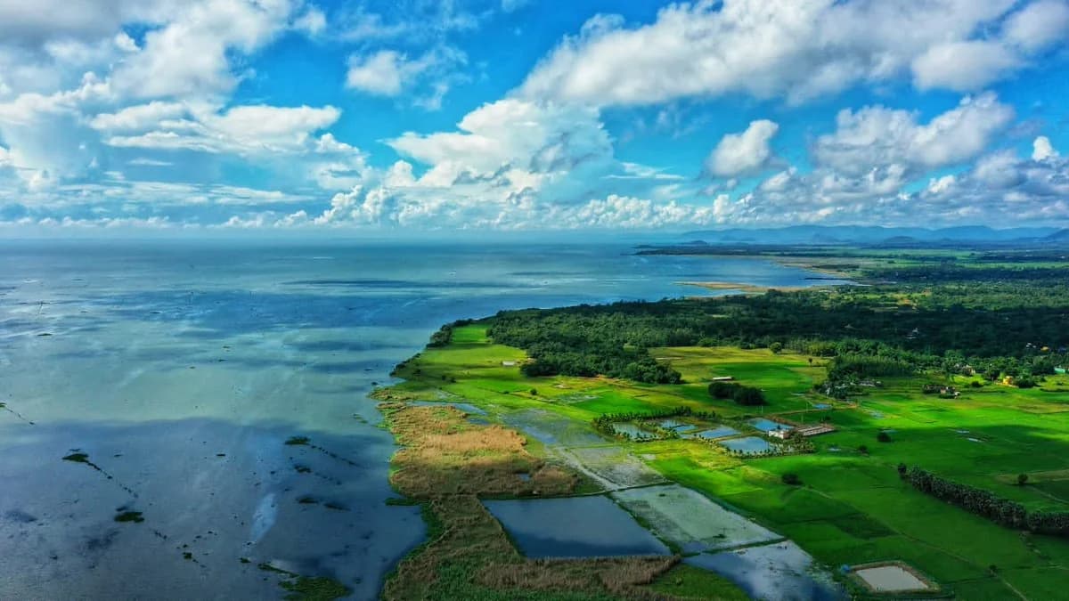 Chilika Lake