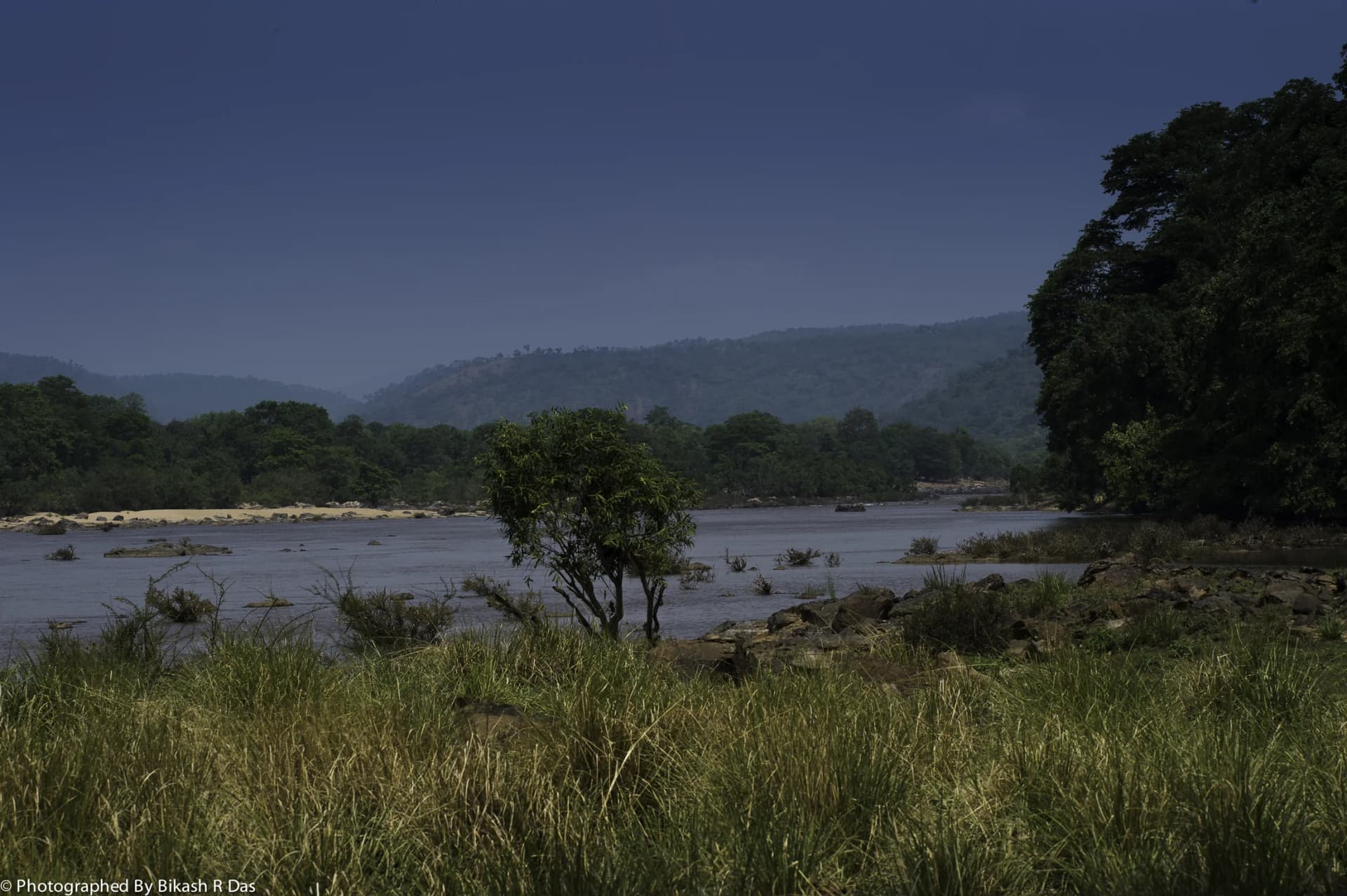 Cauvery Wildlife Sanctuary
