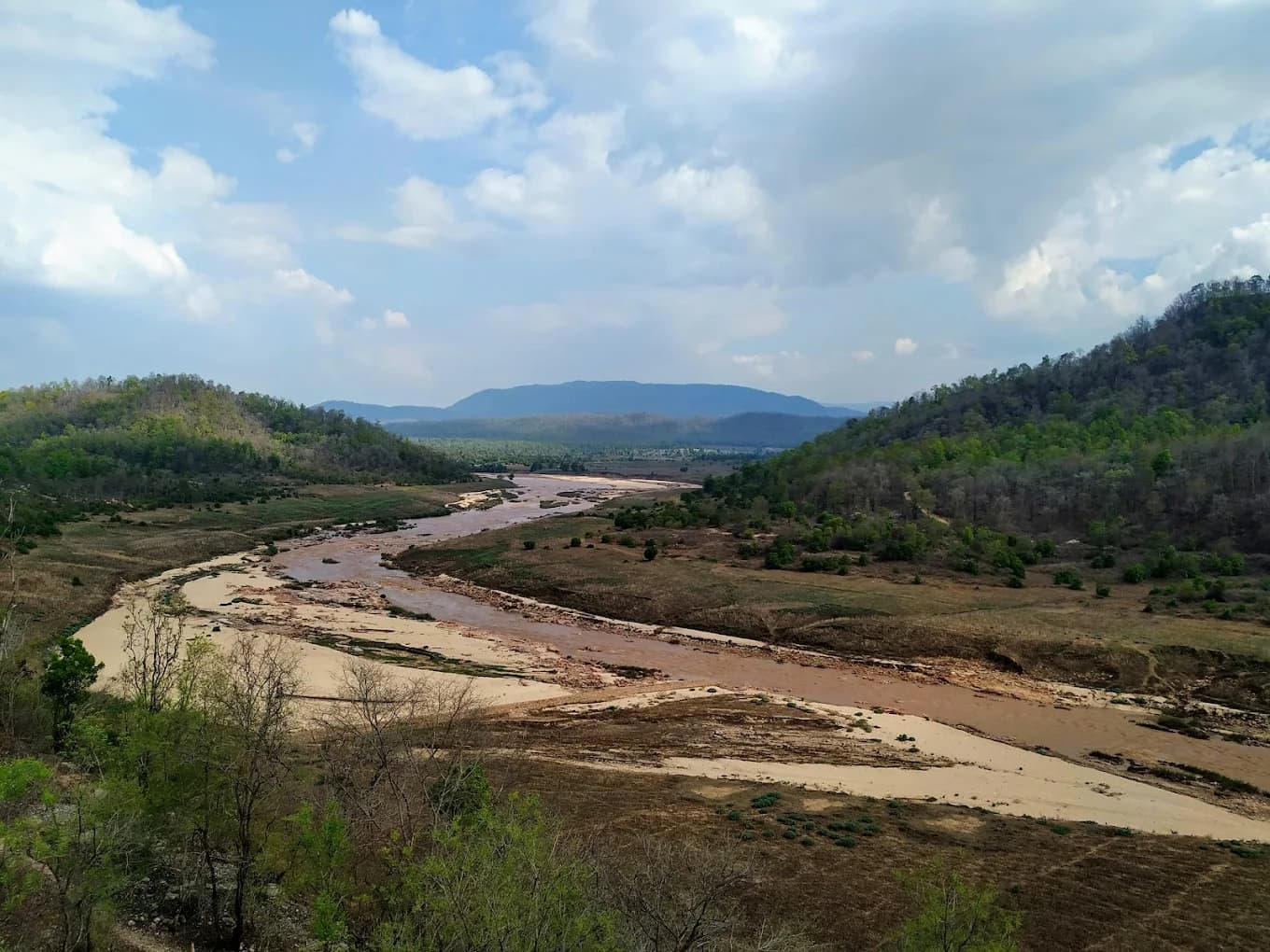 Betla National Park