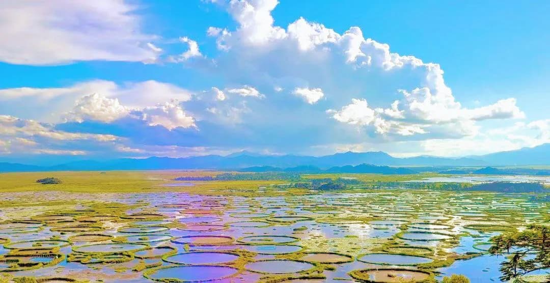 Keibul Lamjao National Park