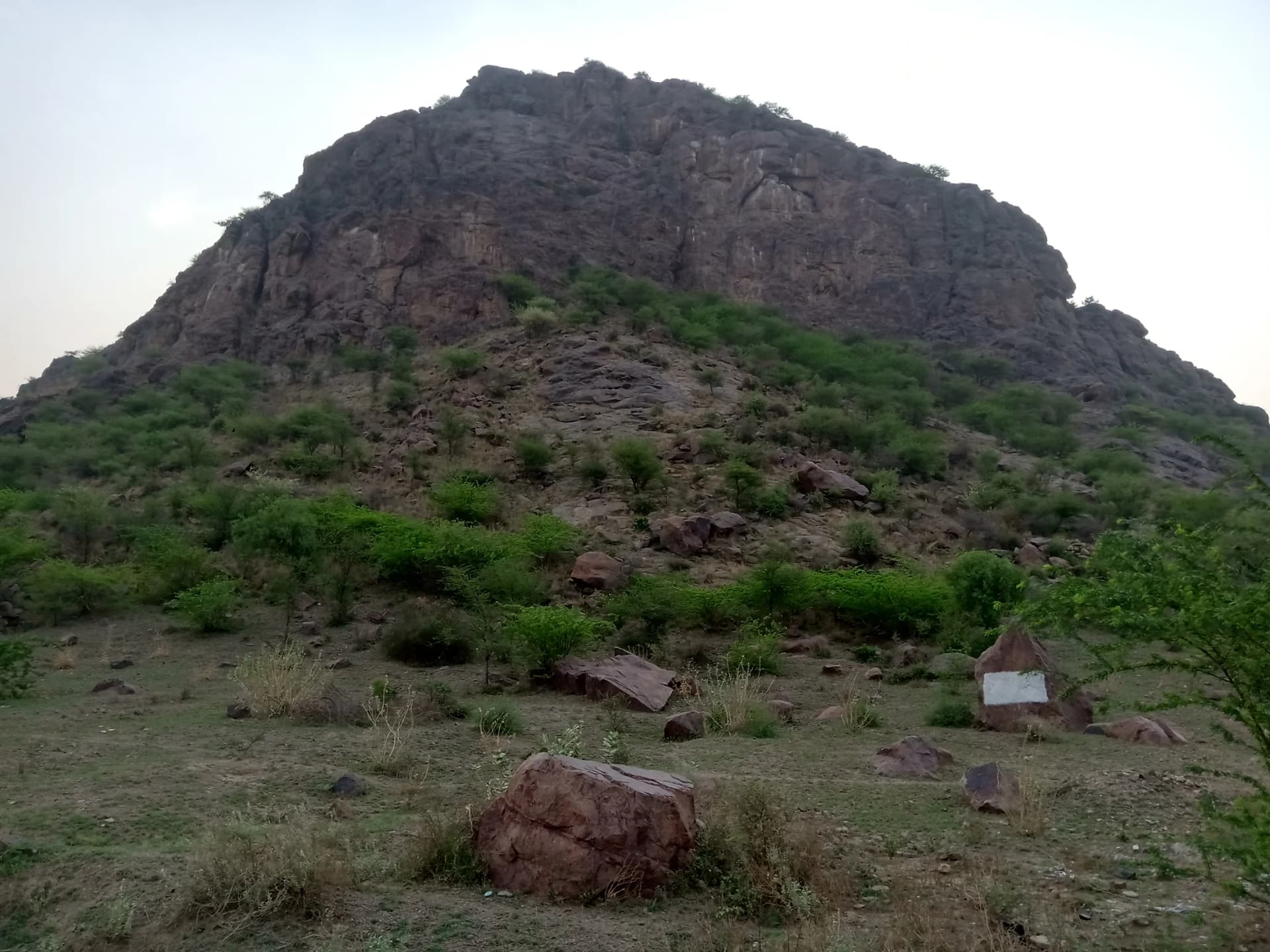 Tosham Rock Inscriptions