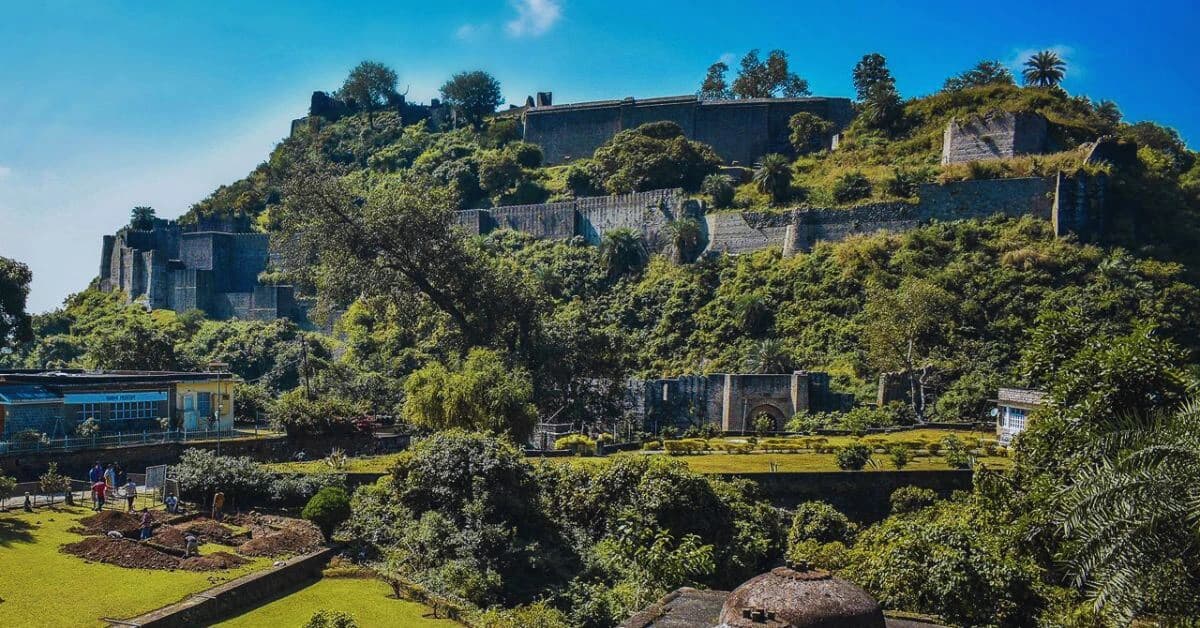 Nobody Holds Kangra For Long
