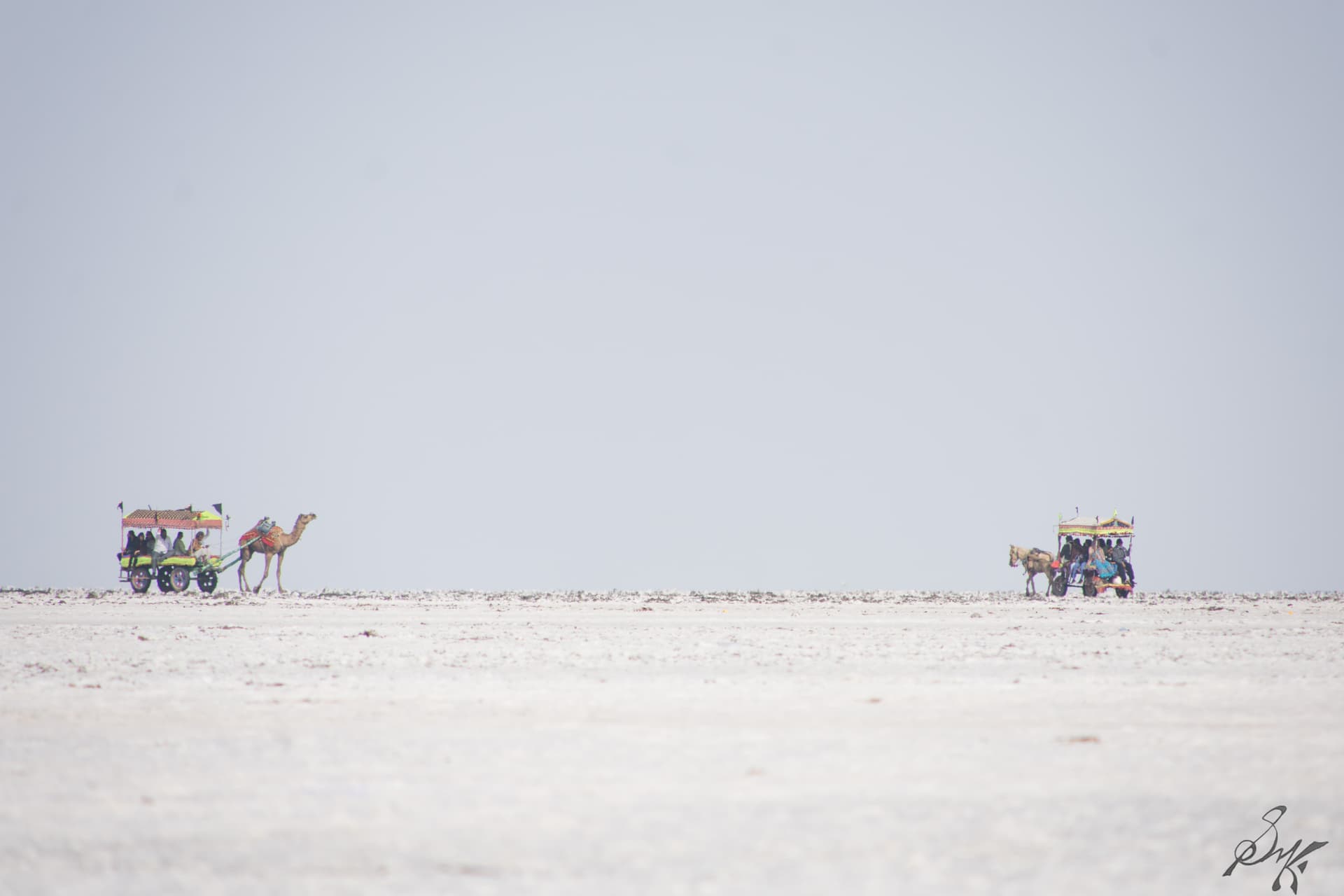 Rann of Kutch - Image 3