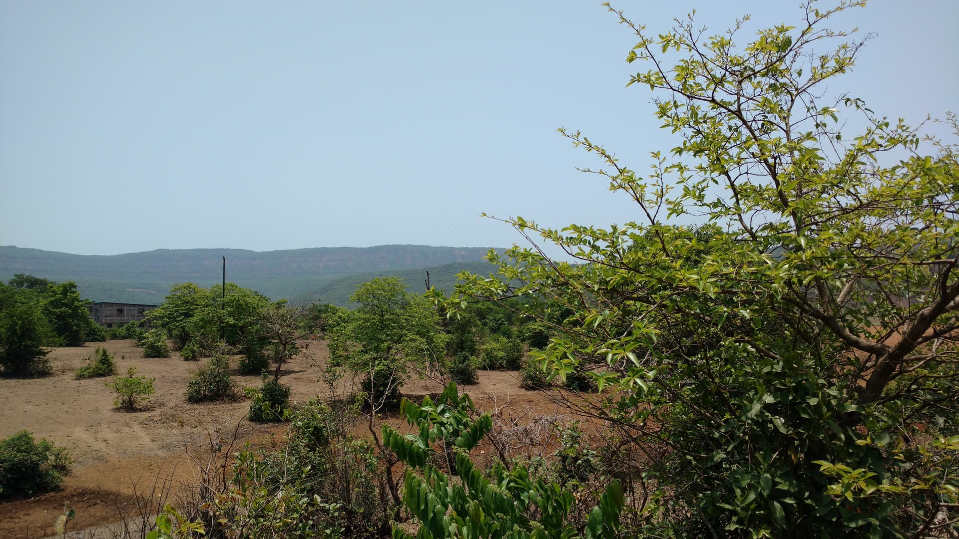 Radhanagari Wildlife Sanctuary - Image 5