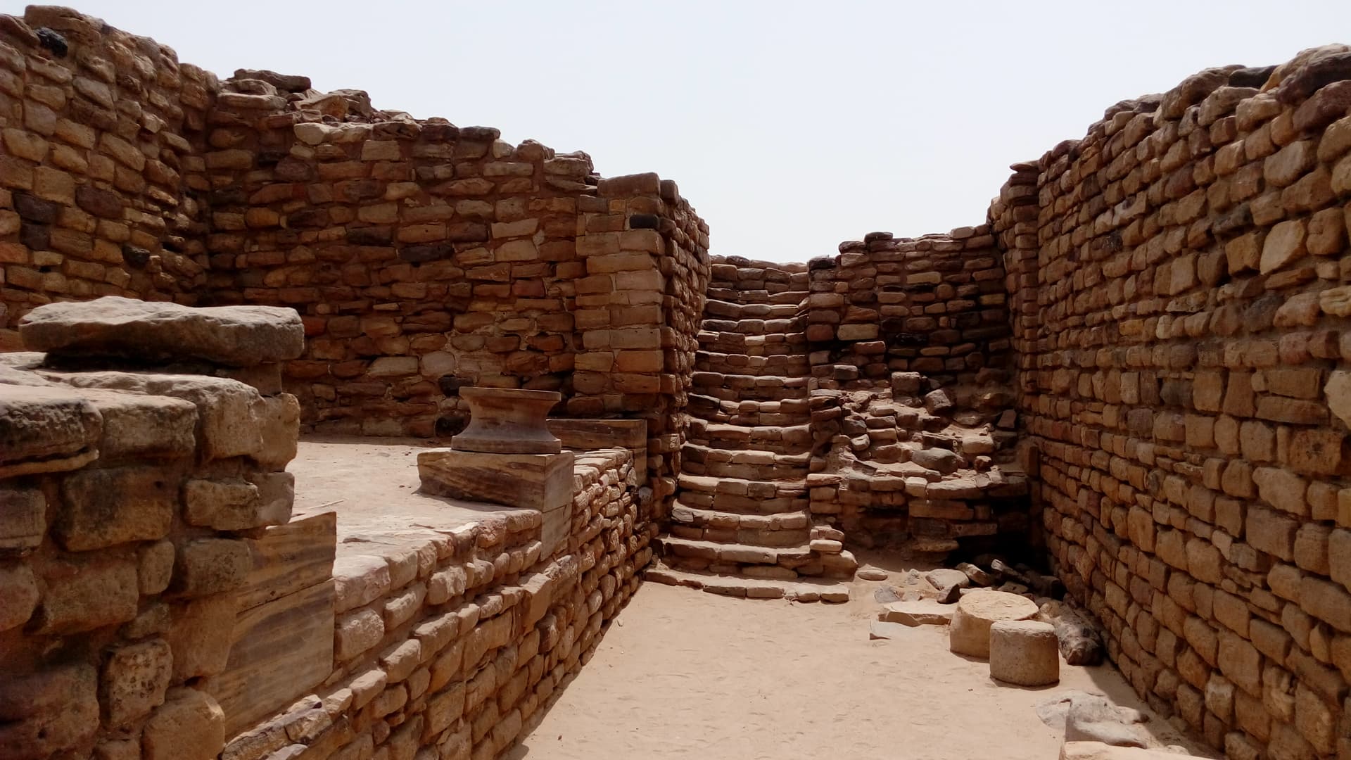 Rann of Kutch - Image 4