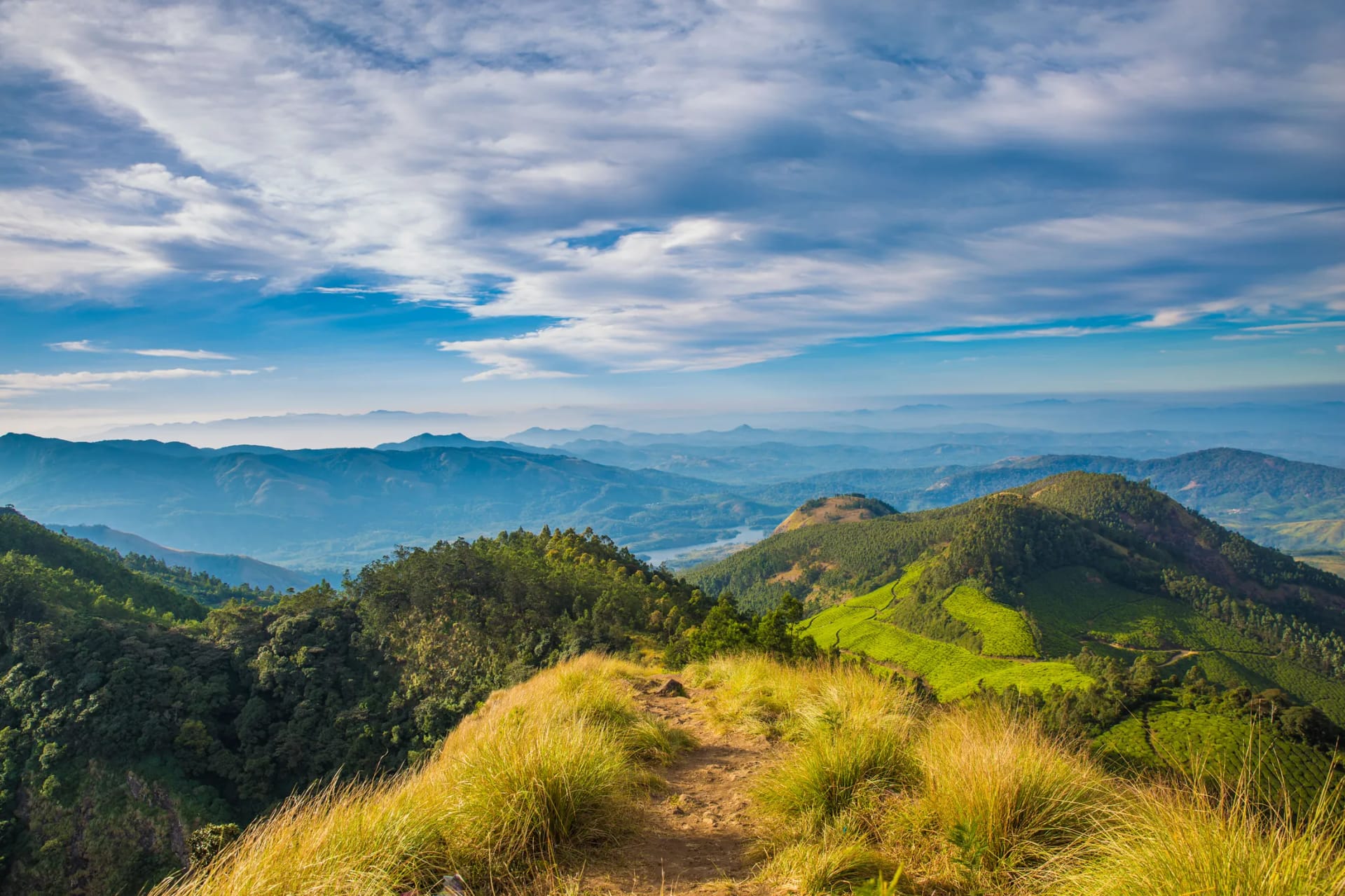 Kolukkumalai Tea Estate - 2