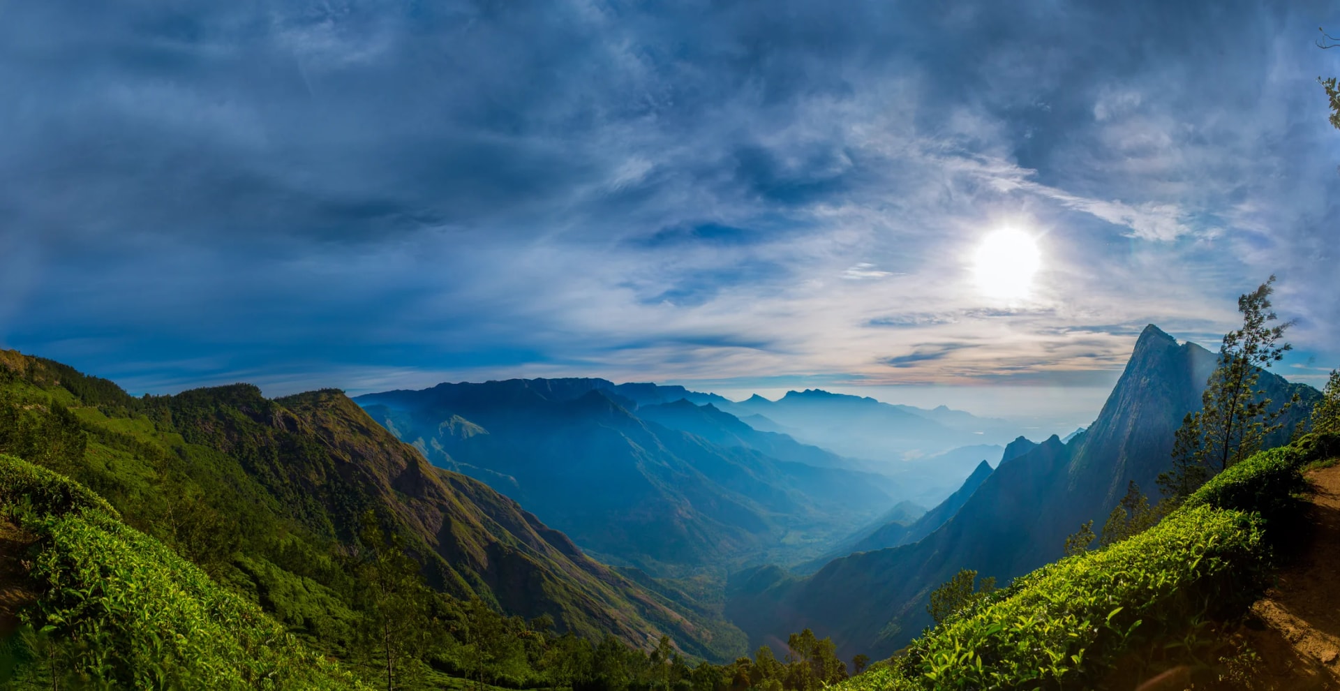 Kolukkumalai Tea Estate
