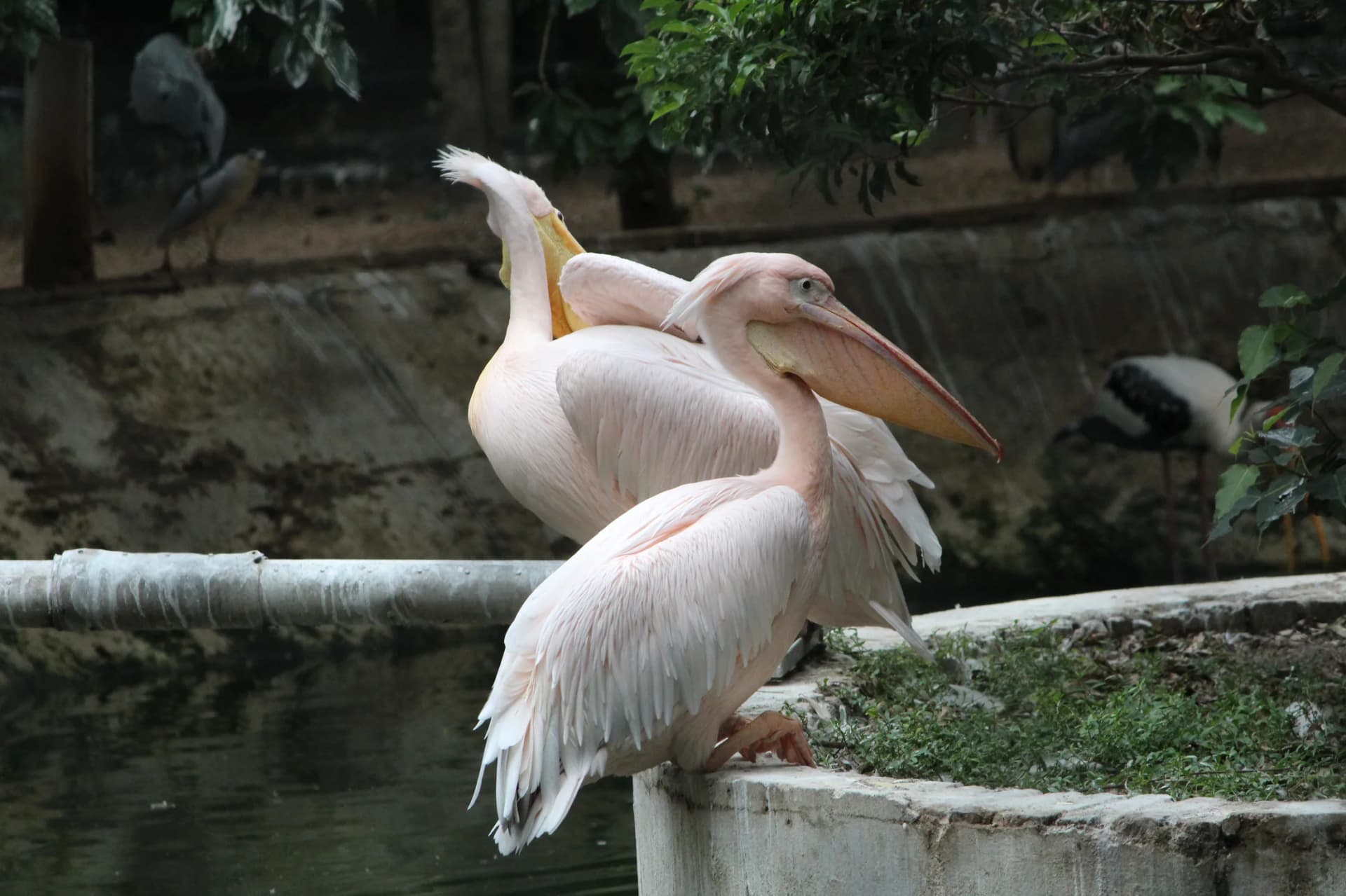 Guindy National Park