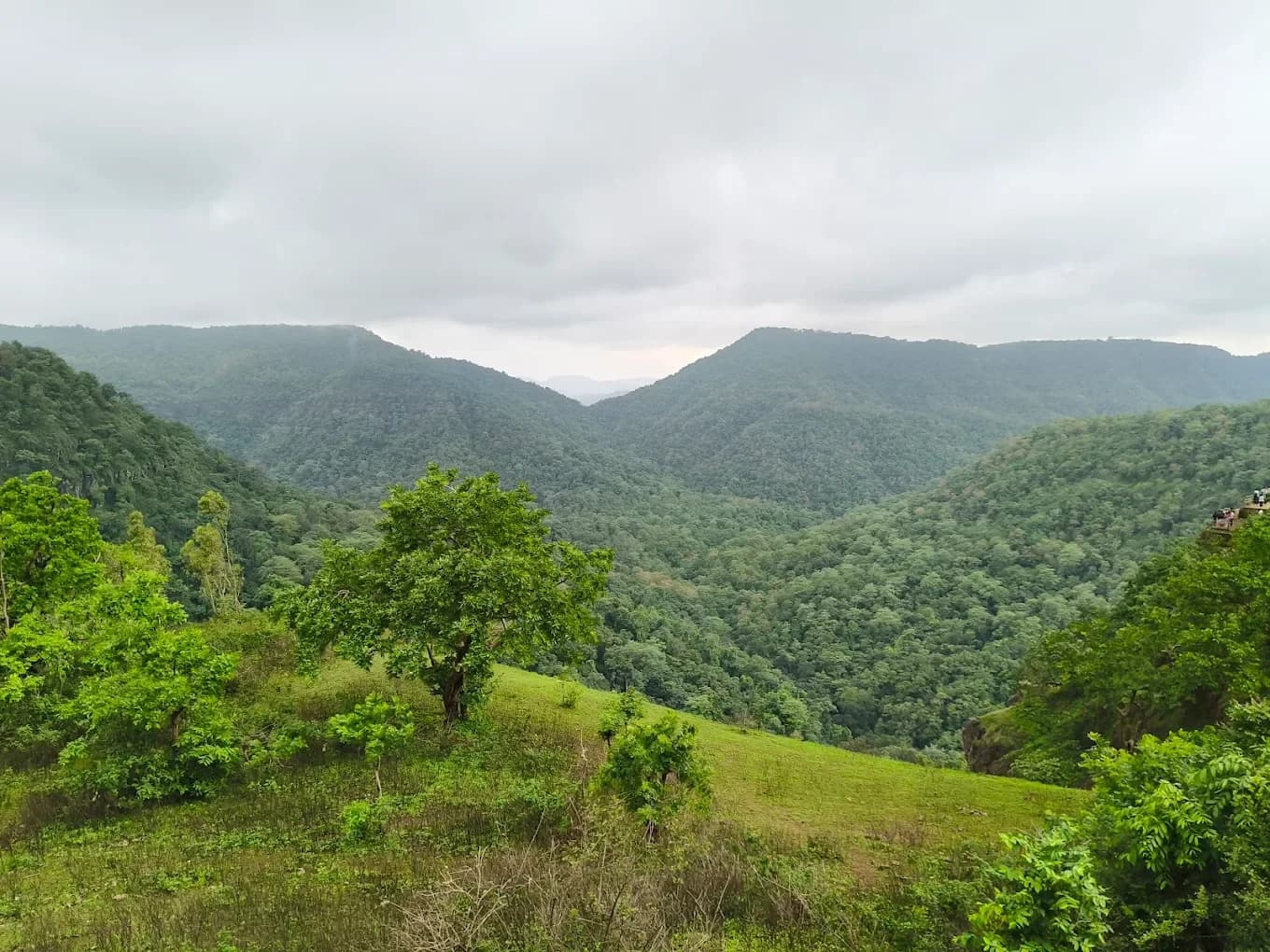 Melghat Tiger Reserve