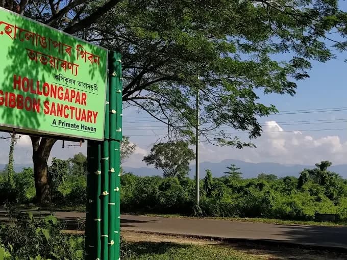 Hollongapar Gibbon Sanctuary