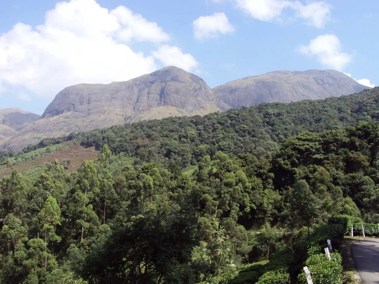 Eravikulam National Park