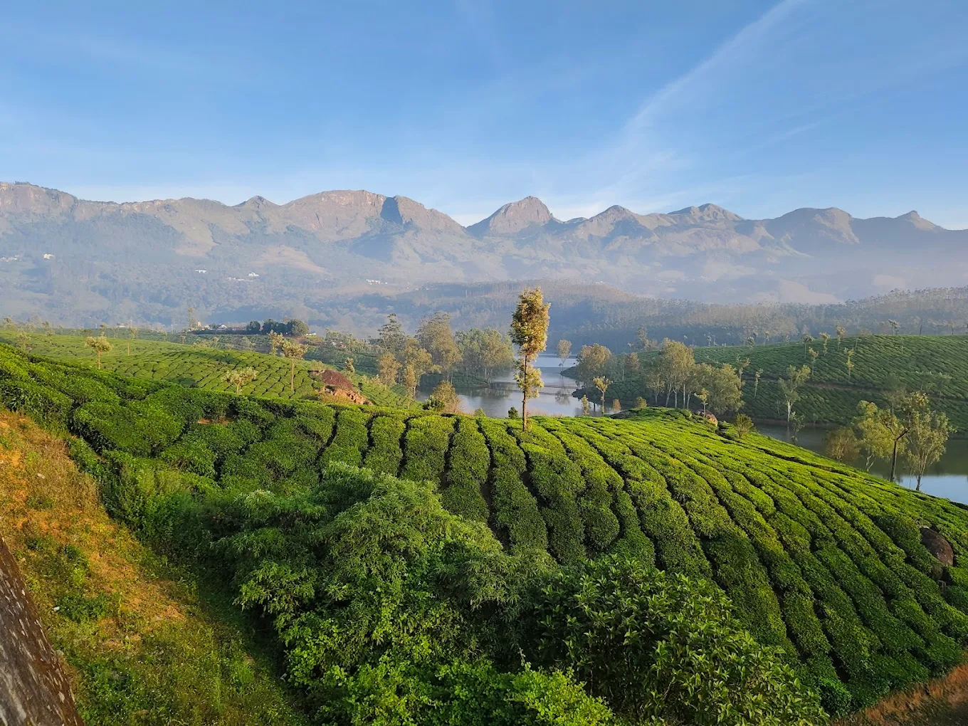 Mathikettan Shola National Park