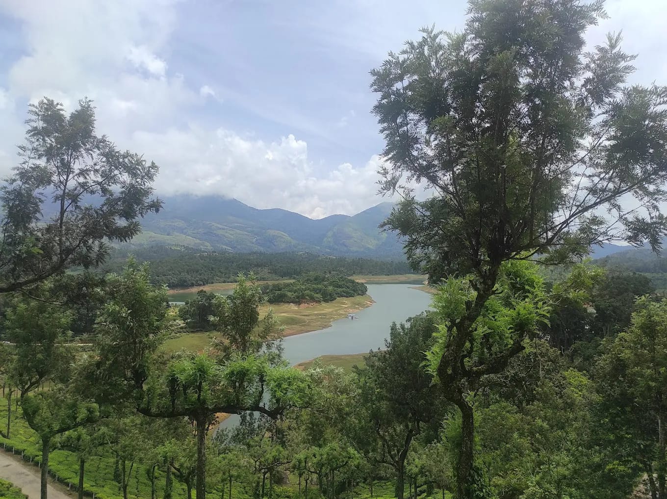 Mathikettan Shola National Park - 5