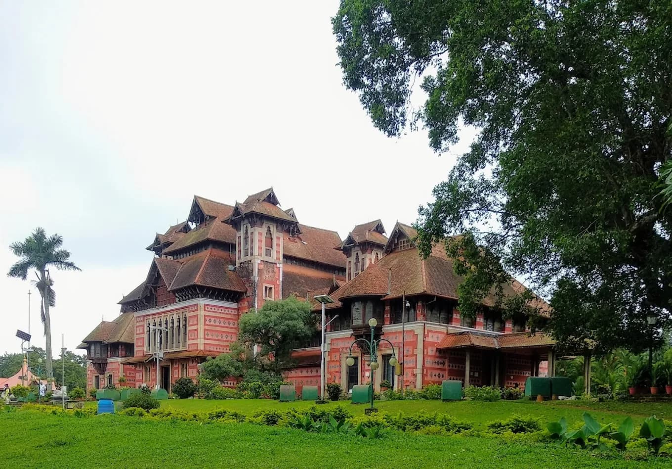 Napier Museum