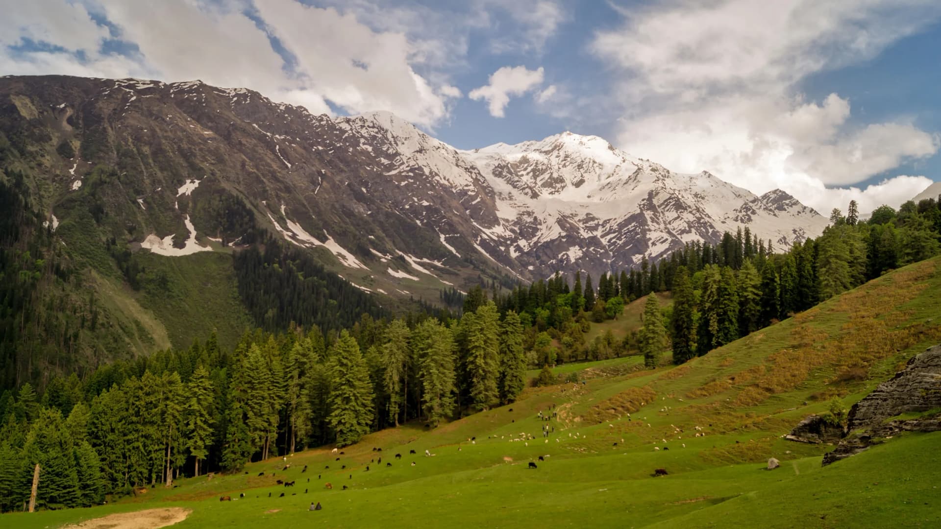 Great Himalayan National Park
