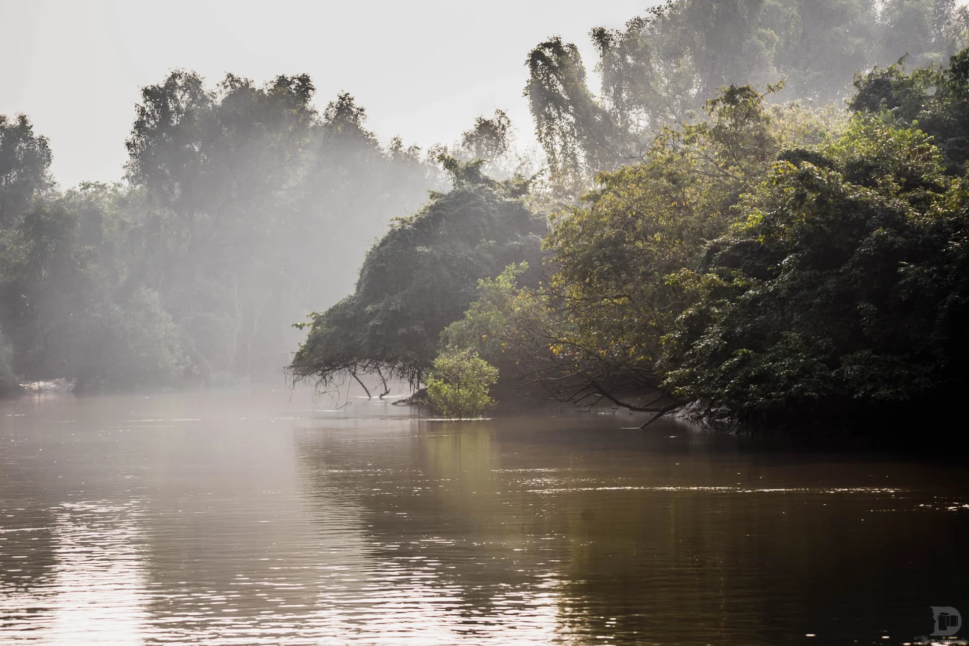 Bhitarkanika National Park