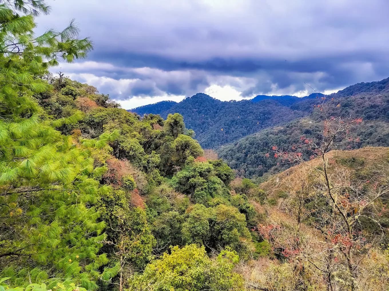 Eaglenest Wildlife Sanctuary