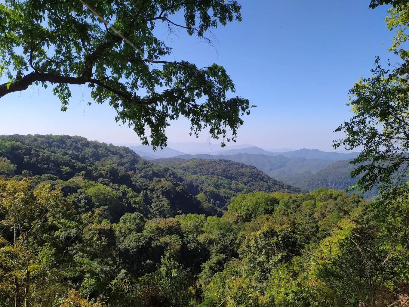 Murlen National Park