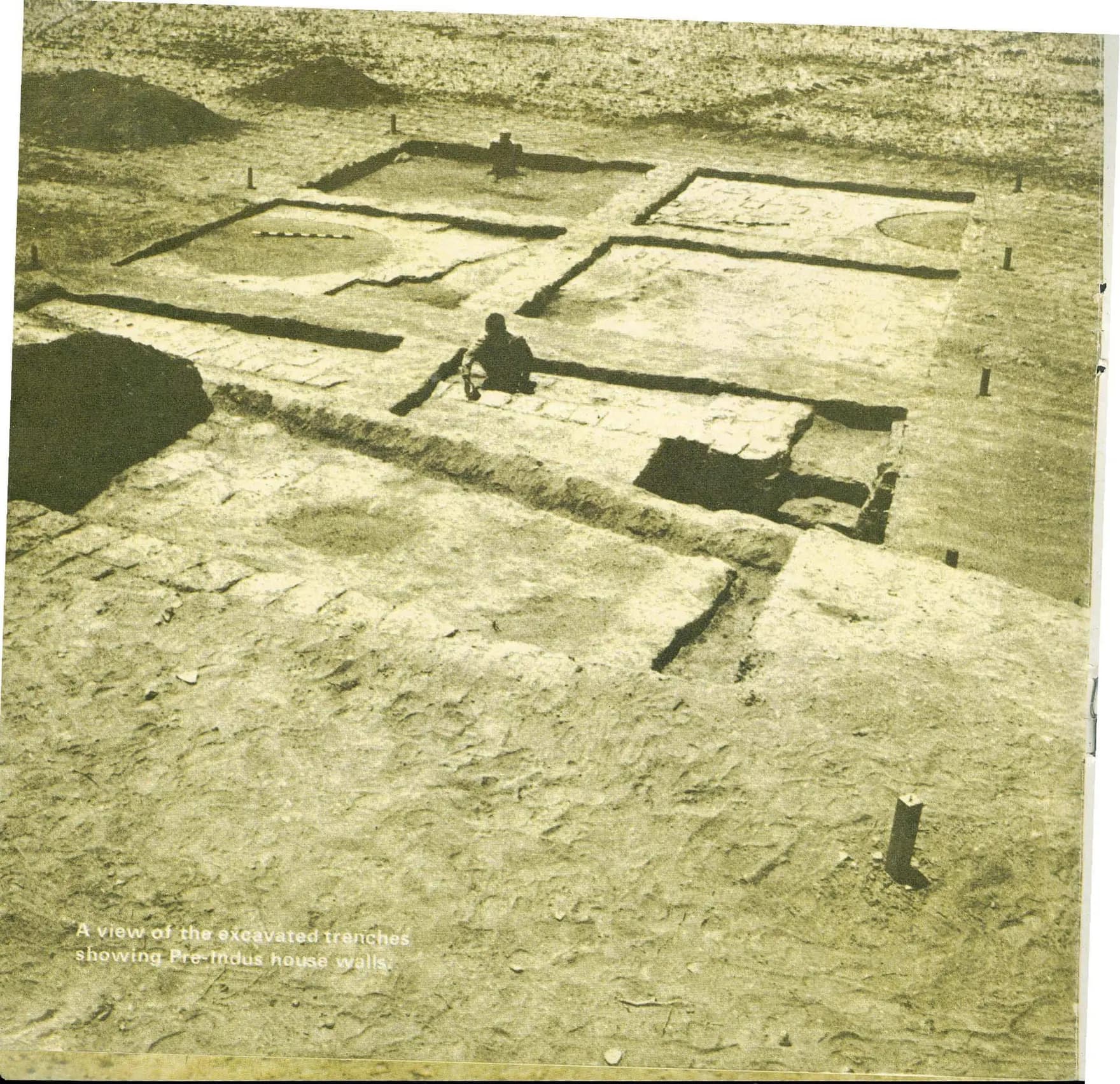 Banawali Archaeological Site